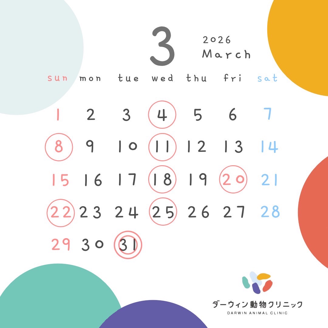 3月休診日のお知らせ