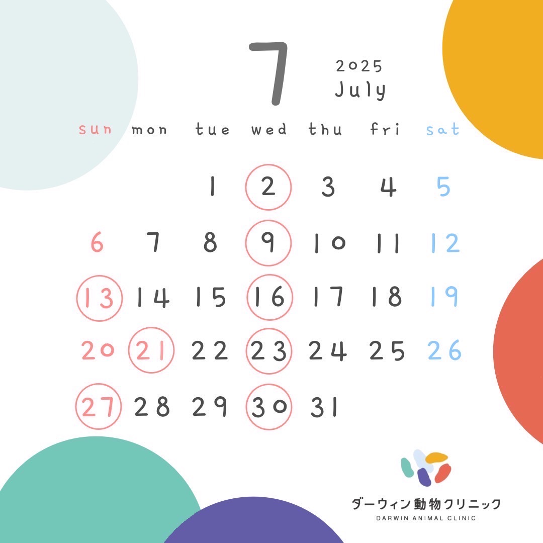 7月休診日のお知らせ