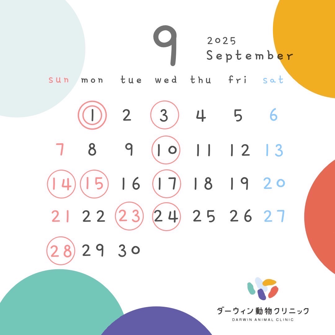 9月休診日のお知らせ