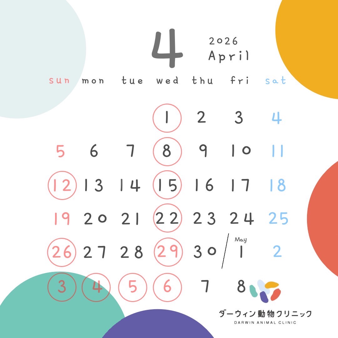4月休診日のお知らせ