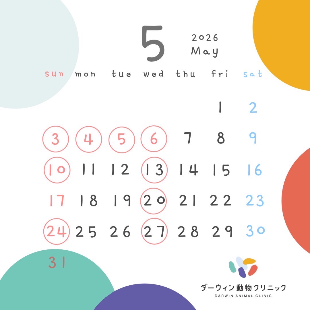 5月休診日のお知らせ