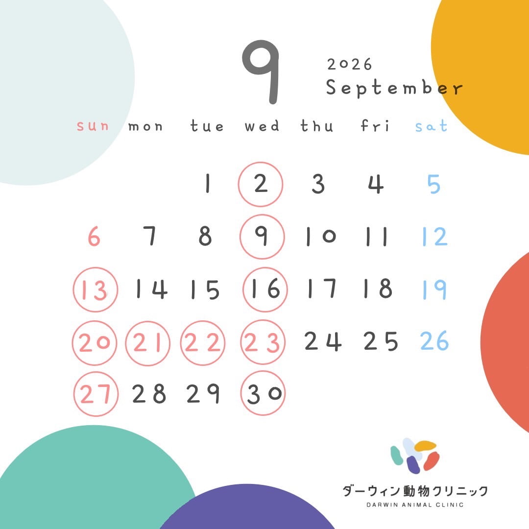 9月休診日のお知らせ