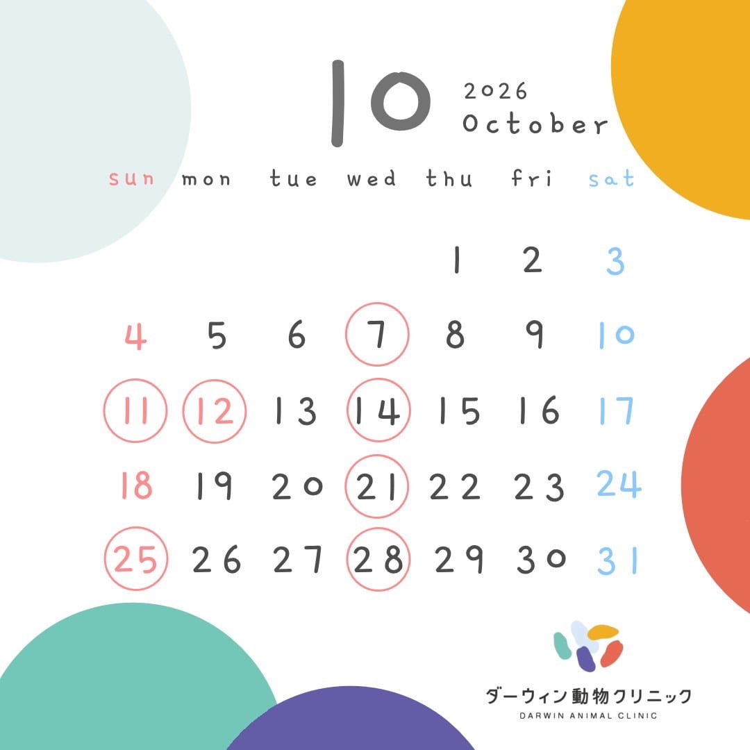 10月休診日のお知らせ